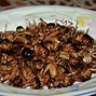 Resep Makanan Jangkrik Aduan